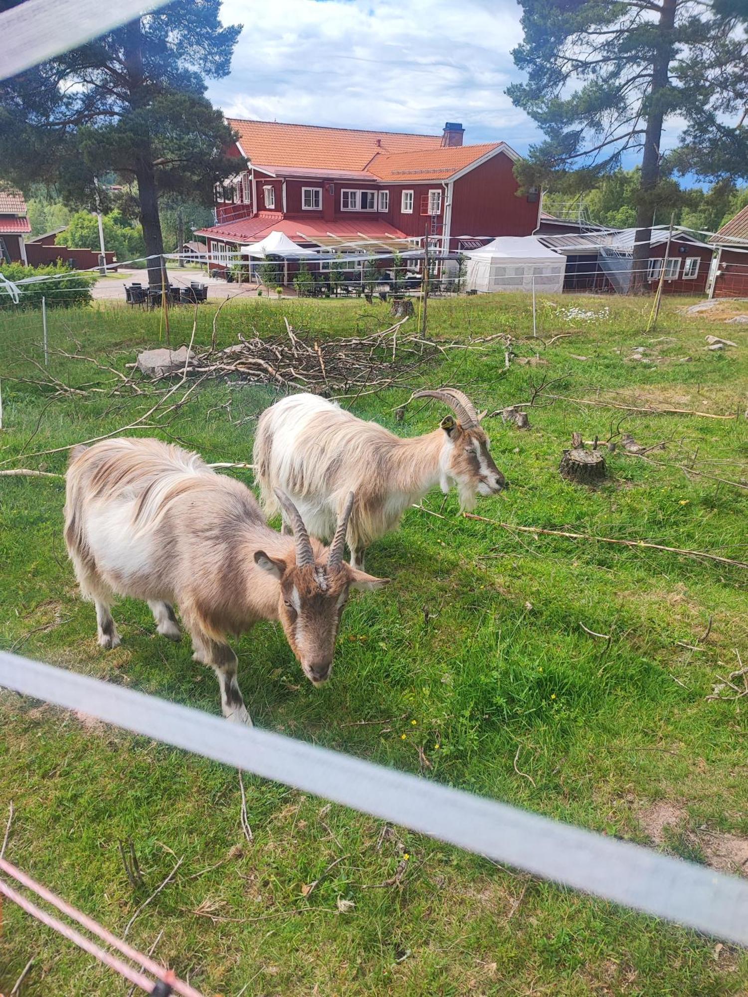 Sjugare Gard Glamping Leksand